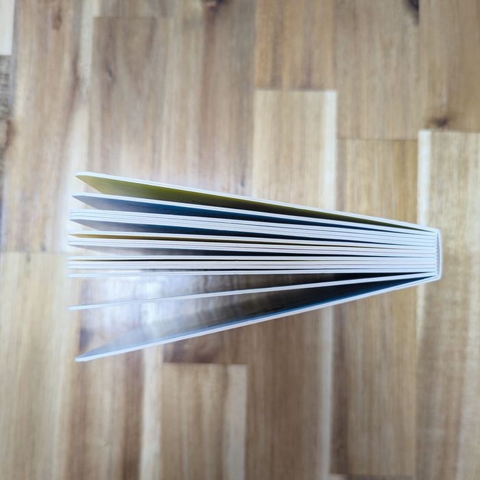 Livre Lionel et le Perroquet - photo numéro 4