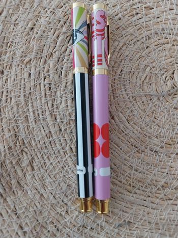 Lots de deux Stylos Plumink
