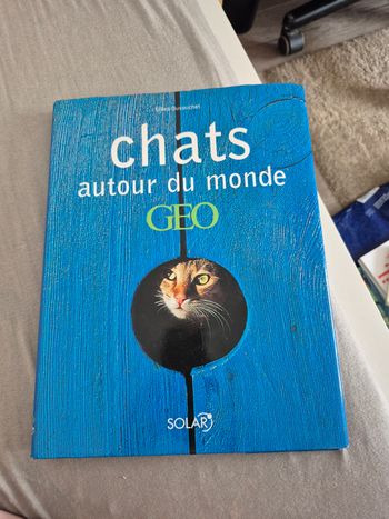 Chats autour du monde