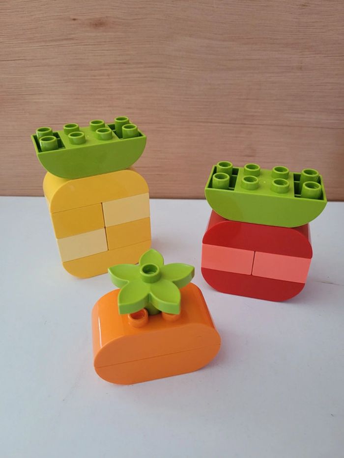 Grosse boîte Lego Duplo Classic Animaux créatifs 10934 - photo numéro 20