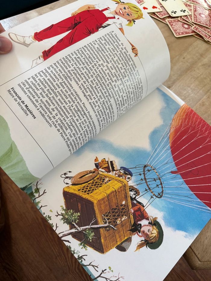 RARE Catalogue exposition Caroline L’univers de Pierre Probst livre Versailles musée - photo numéro 6