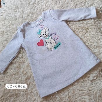 Robe Gris Dalmatiens