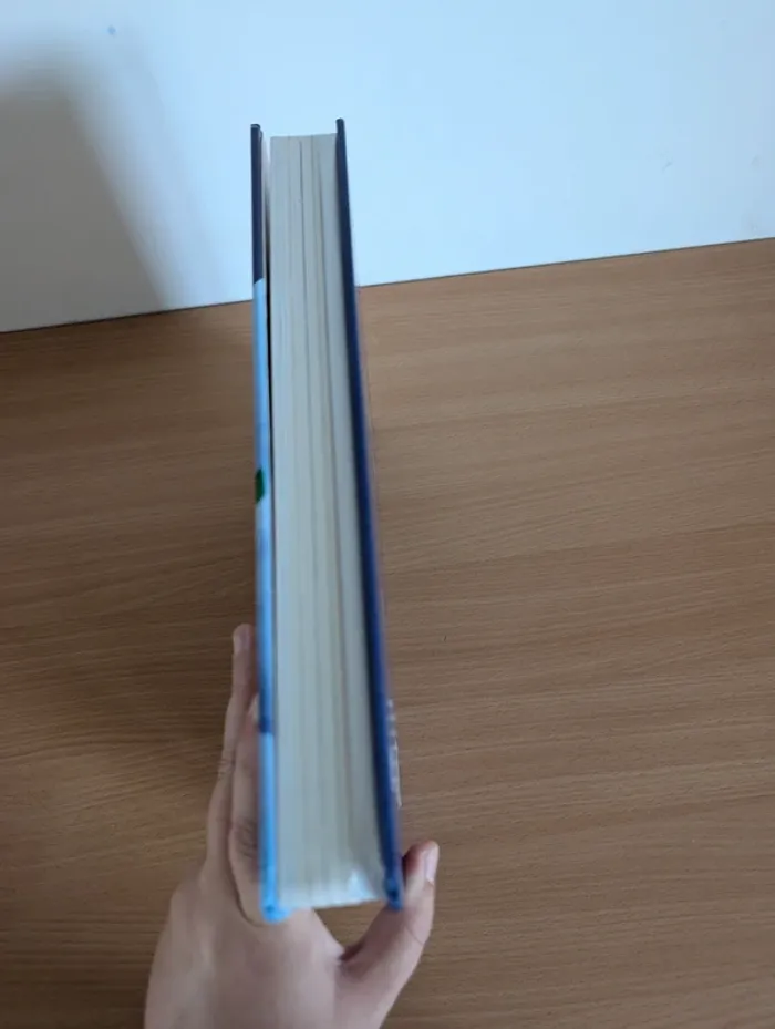 Livre Le Voyage du Père Noël neuf - photo numéro 6