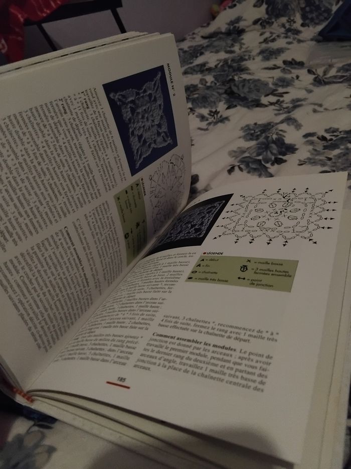 Lots de livres  crochet - photo numéro 3