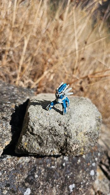 Super petite figurine Pokemon Nintendo Dialga