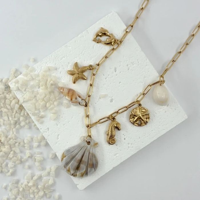 Collier coquillage hypocanpe ✅