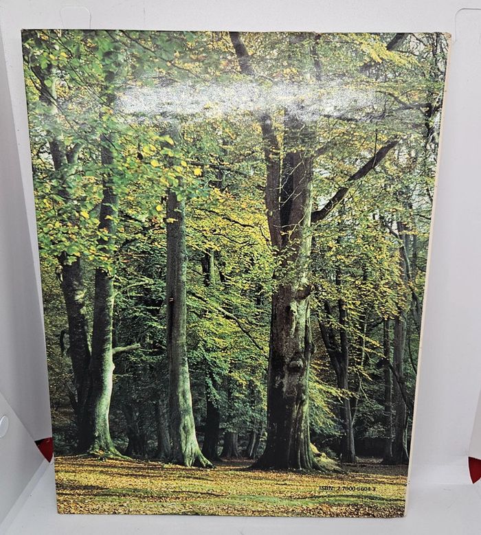 "Mon premier livre des arbres et des fleurs".
Gründ.
146 pages.
ISBN : 2.7000.5604.3 - photo numéro 2