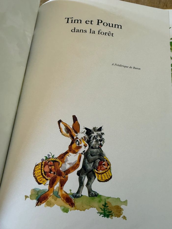 Grand livre album vintage Tim et Poum dans la forêt Pierre Probst auteur Caroline - photo numéro 4