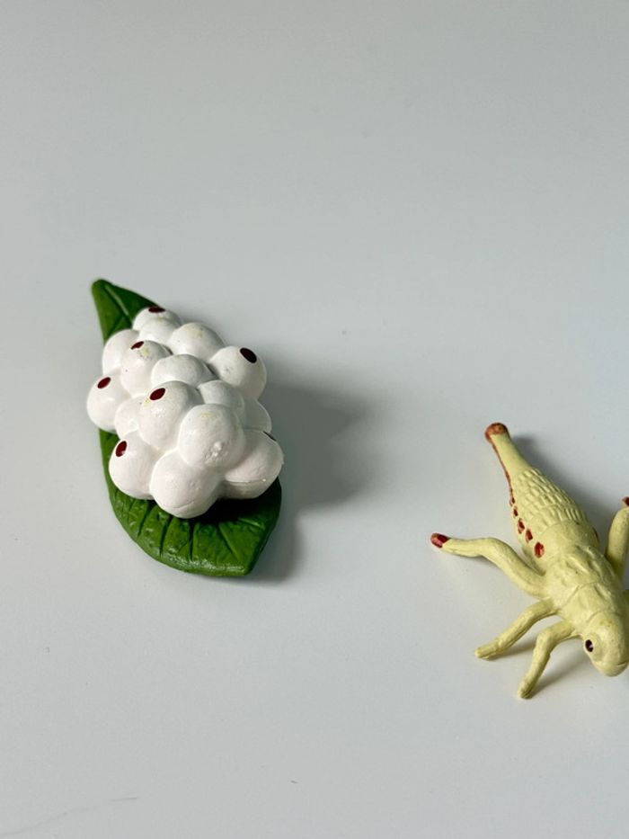 Cycle de vie: Figurines de la Libellule (Langage, sciences.) - photo numéro 9