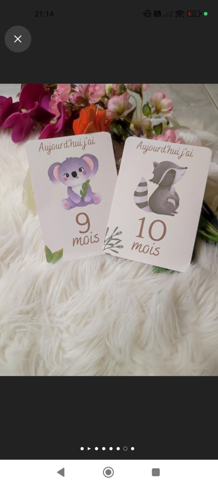 Carte étape bébé - photo numéro 6