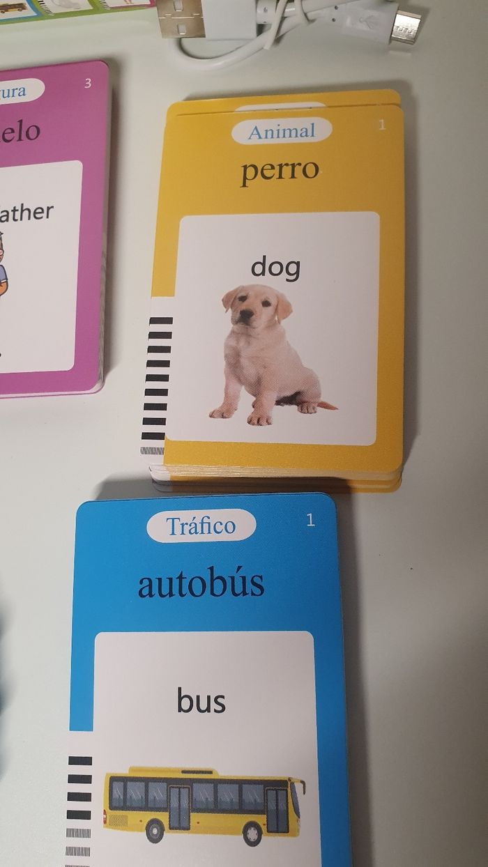 Dispositif parlant Anglais/ Espagnol + 224 cartes - photo numéro 4