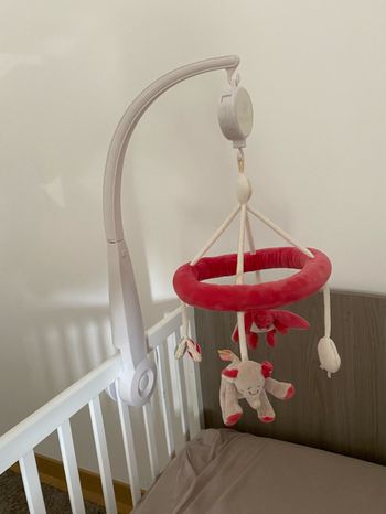 Mobile musical noukies