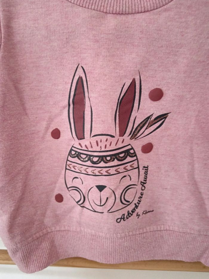 Pulls kloane lapin - photo numéro 2