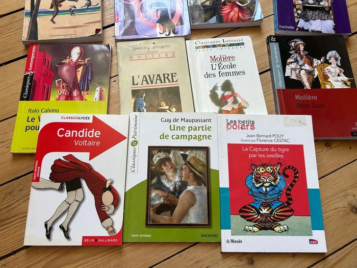 Lot livre scolaire - photo numéro 4