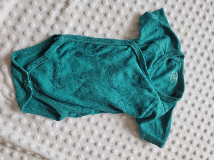 Lot de 4 bodies croisés manches courtes – Kiabi – 6 mois - photo numéro 4