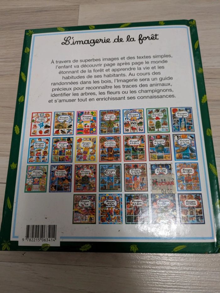 L'imagerie de la forêt - photo numéro 2