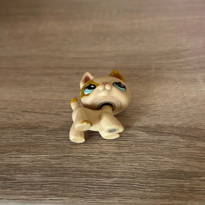 Petshop Chien #604 - photo numéro 2