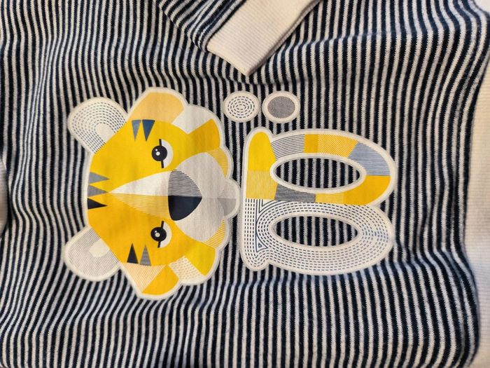 Ensemble tigre Okaïdi - photo numéro 10