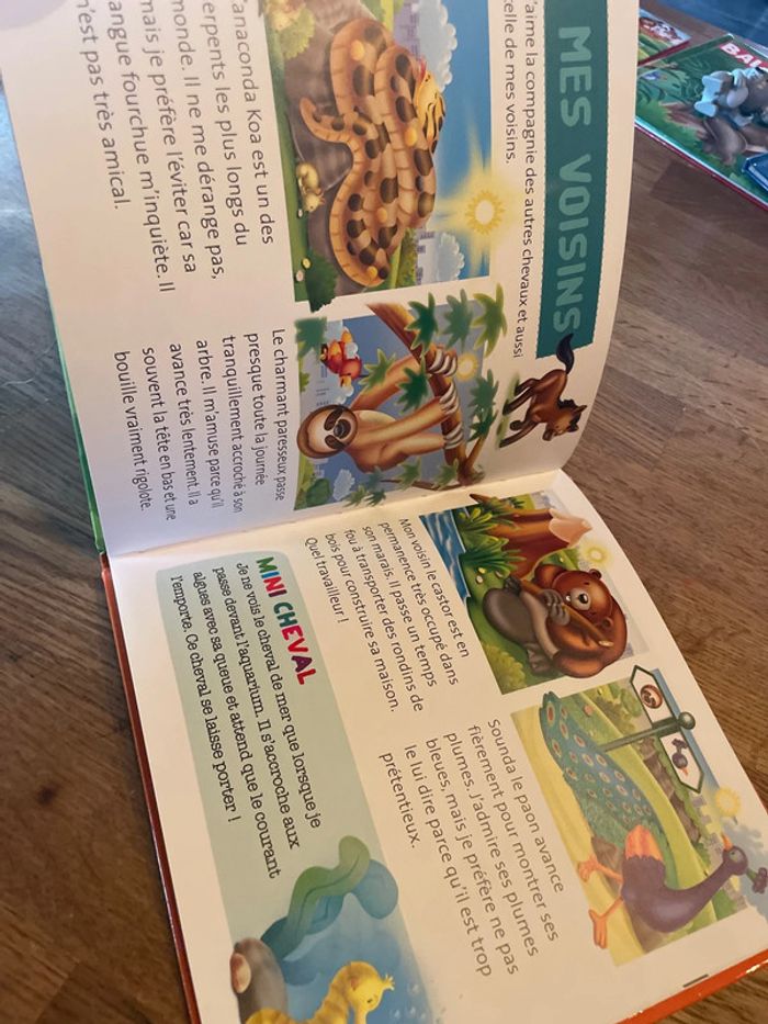 Livre collection Les animaux du zoo Ray le cheval avec une figurine cheval - photo numéro 11