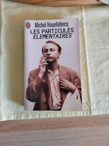 Livre Michel Houellebecq-Les particules élémentaires