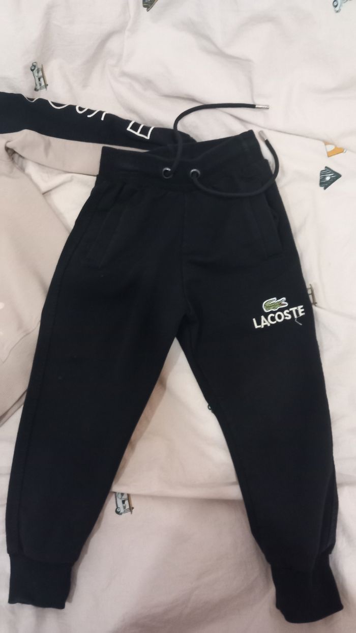 Ensemble lacoste - photo numéro 2