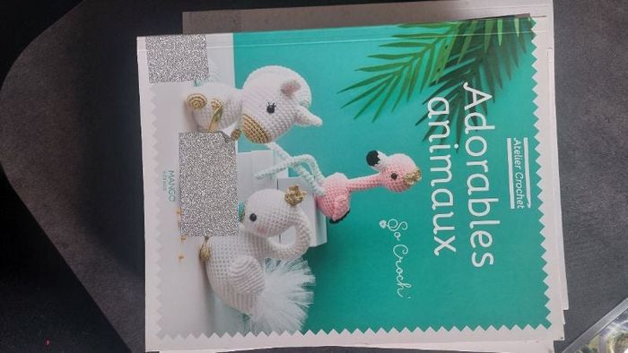 Livre crochet amigurimi