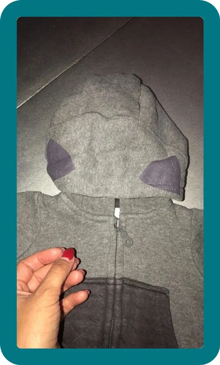 Sweat zippé a capuche - photo numéro 2