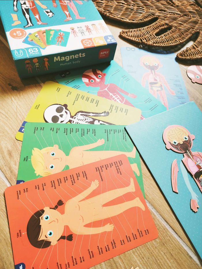 💪Coffret Montessori magnétique le Corp humain - photo numéro 5