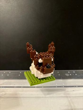 Lego Evoli