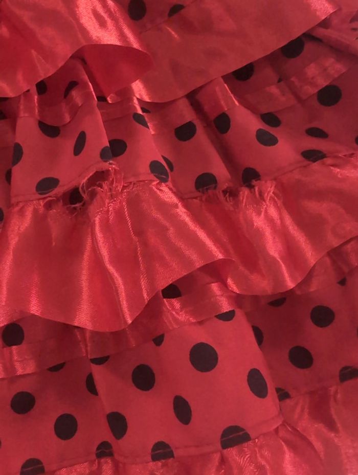 Robe de déguisement espagnol - photo numéro 3