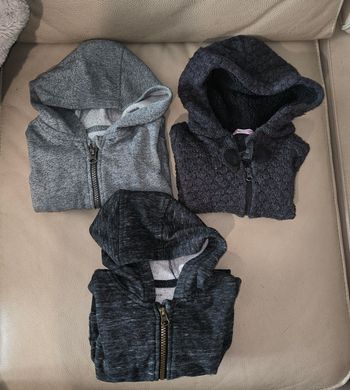 Lot veste à capuche