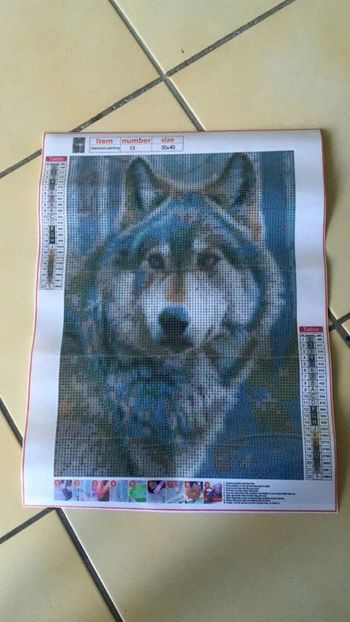 Toile Diamond Painting 30x40cm n°11