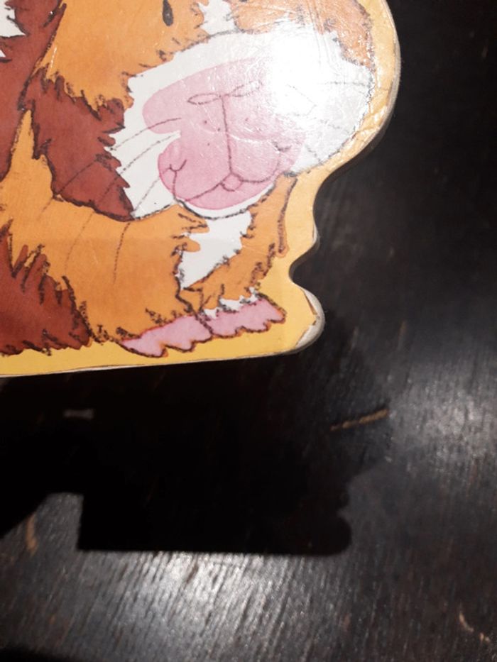 Livre - photo numéro 4