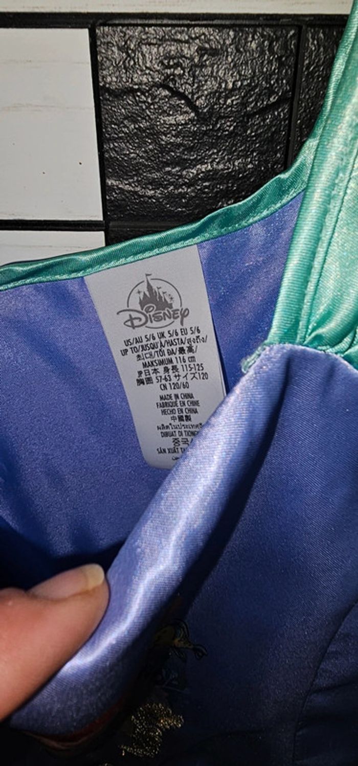 Deguisement ariel disneyland 5/6 - photo numéro 4