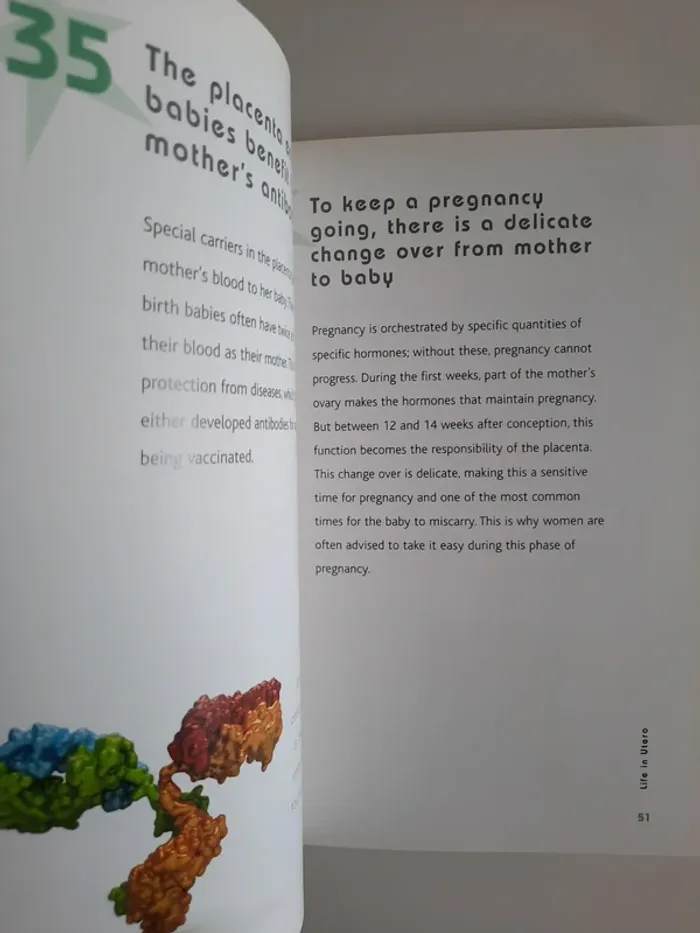 livre anglais pregnancy grossesse enceinte - photo numéro 6