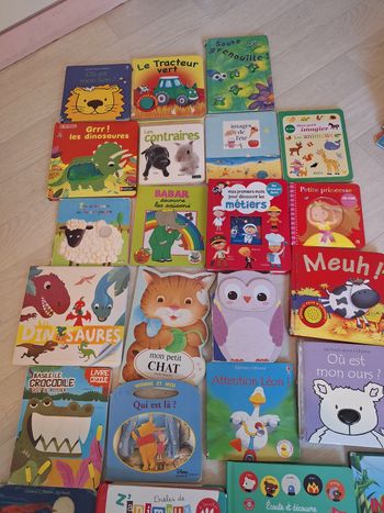 Gris lot de livres bebe