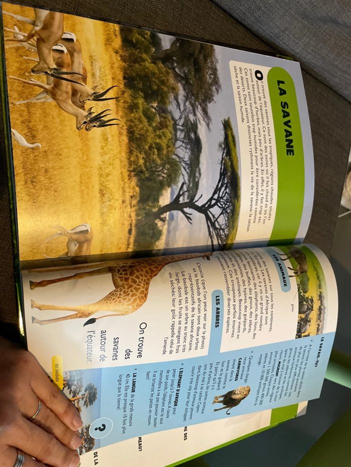 Album documentaire La Nature - photo numéro 3