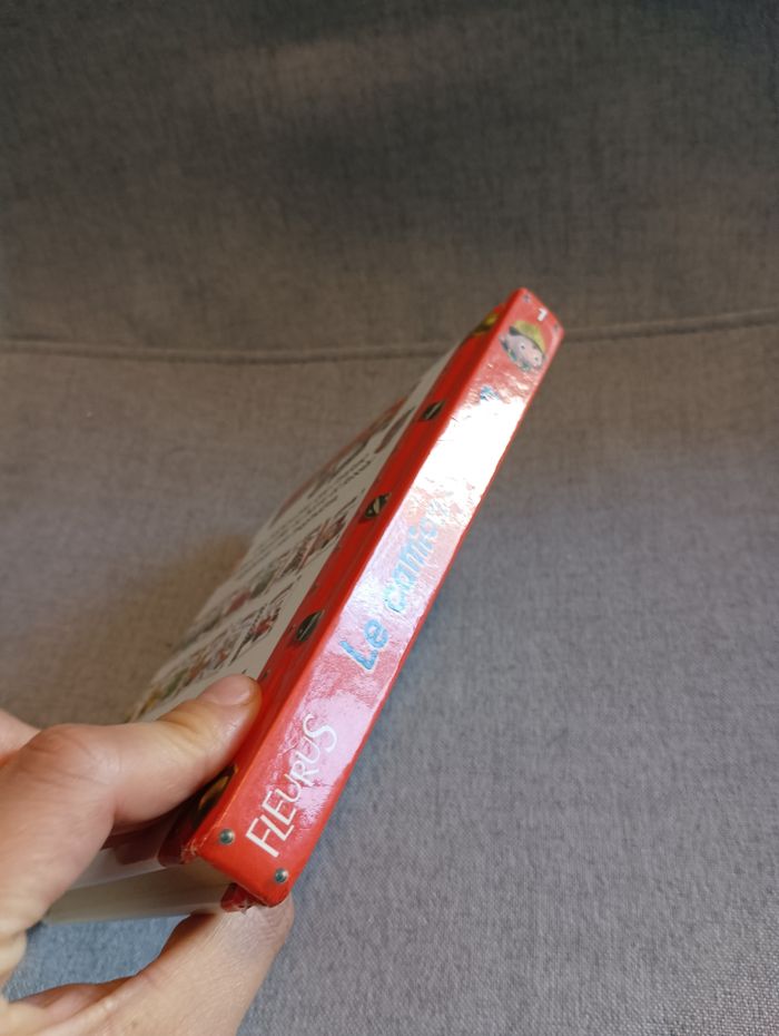 Livre p'tit garçon le camion de Léon - photo numéro 2