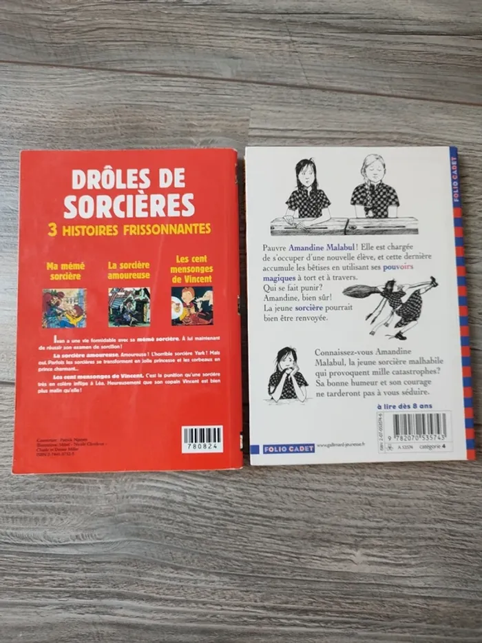 Lot de 2 livres sur les sorcières - photo numéro 2