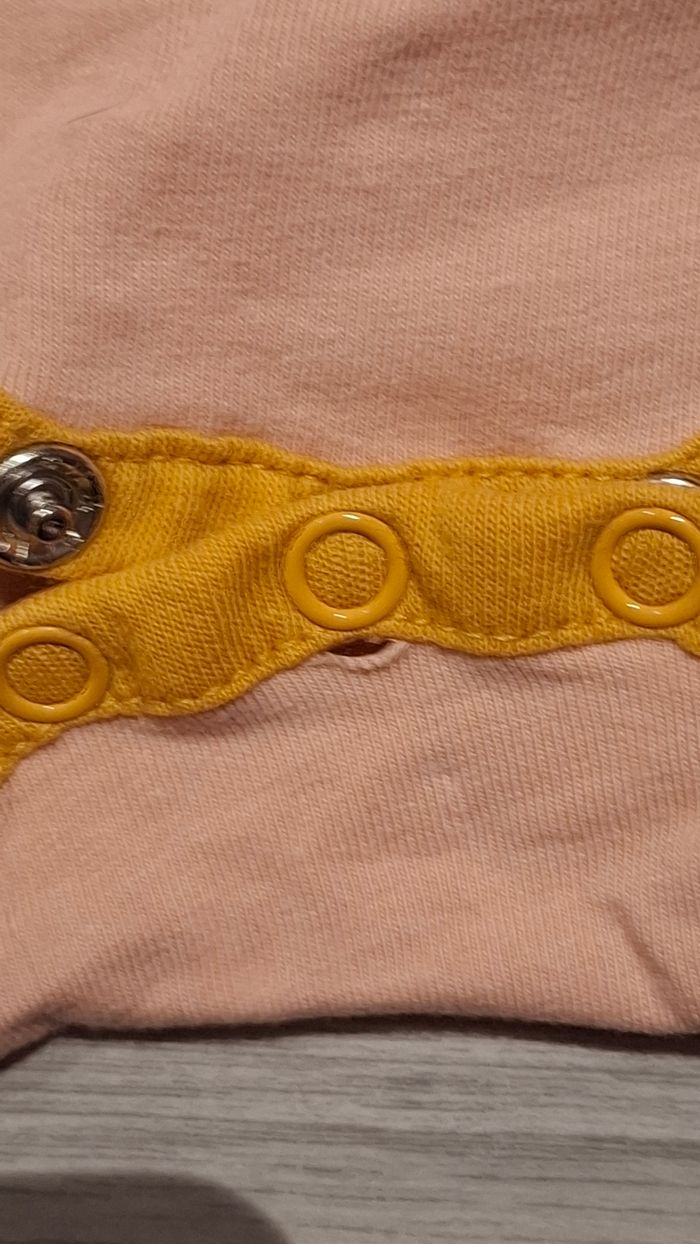 Lot de 5 bodies - photo numéro 4