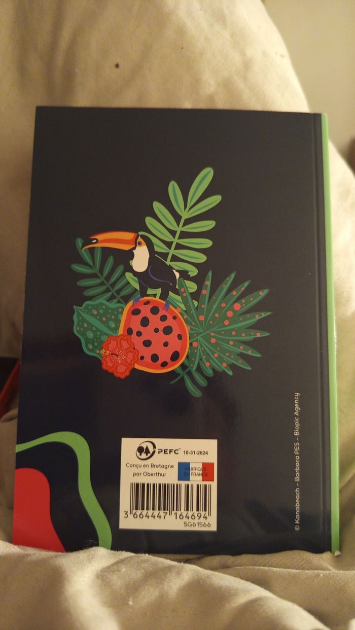 Agenda Oberthur 2024-2025 coloré et compact - photo numéro 2