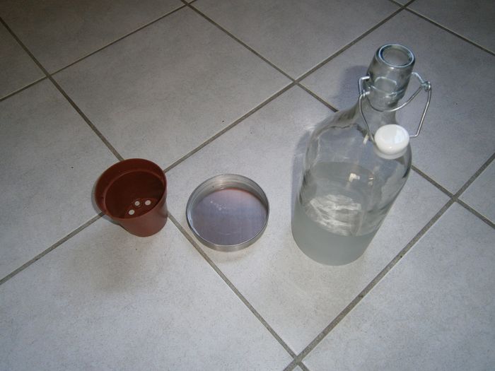Bouteille en verre pour une plante - photo numéro 4