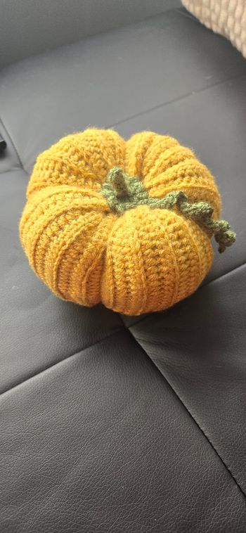 Citrouille moutarde Grand modèle neuf