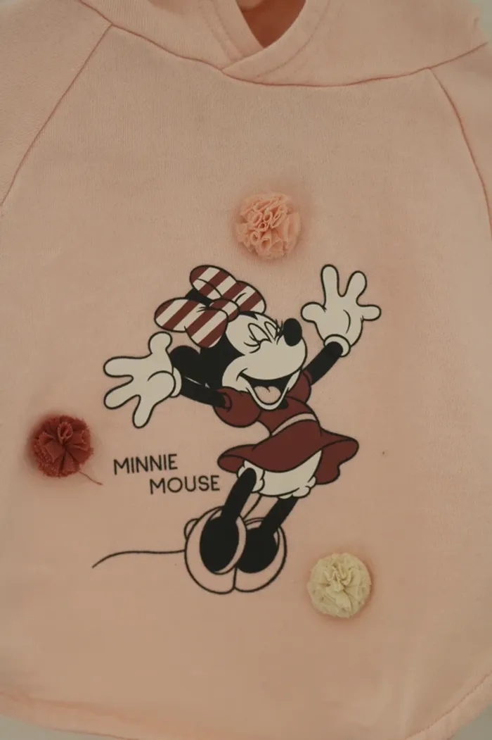 Ensemble sweat Disney baby et legging Kiabi 18 mois - photo numéro 6