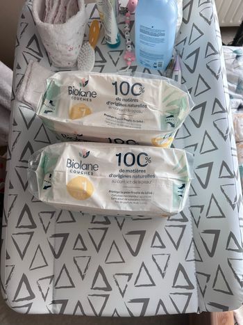 Couches biolane taille 1 