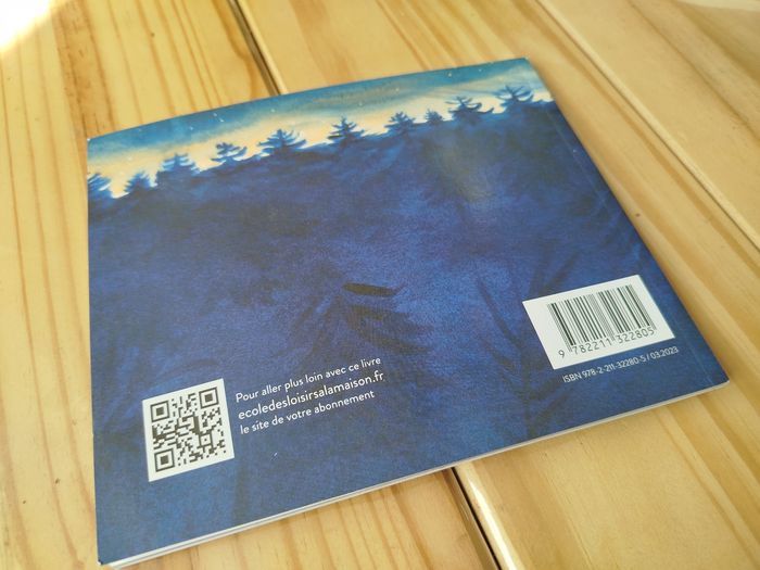 Dans la forêt sombre et profonde - photo numéro 2