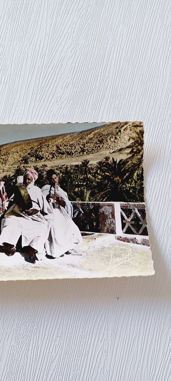 Carte postale vintage alger - photo numéro 4