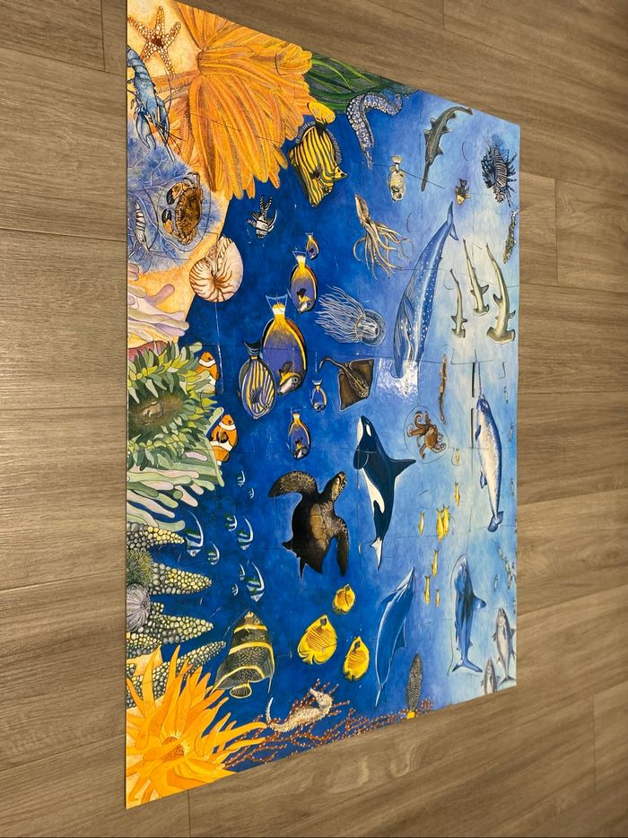 Puzzle Géant Djeco - photo numéro 3