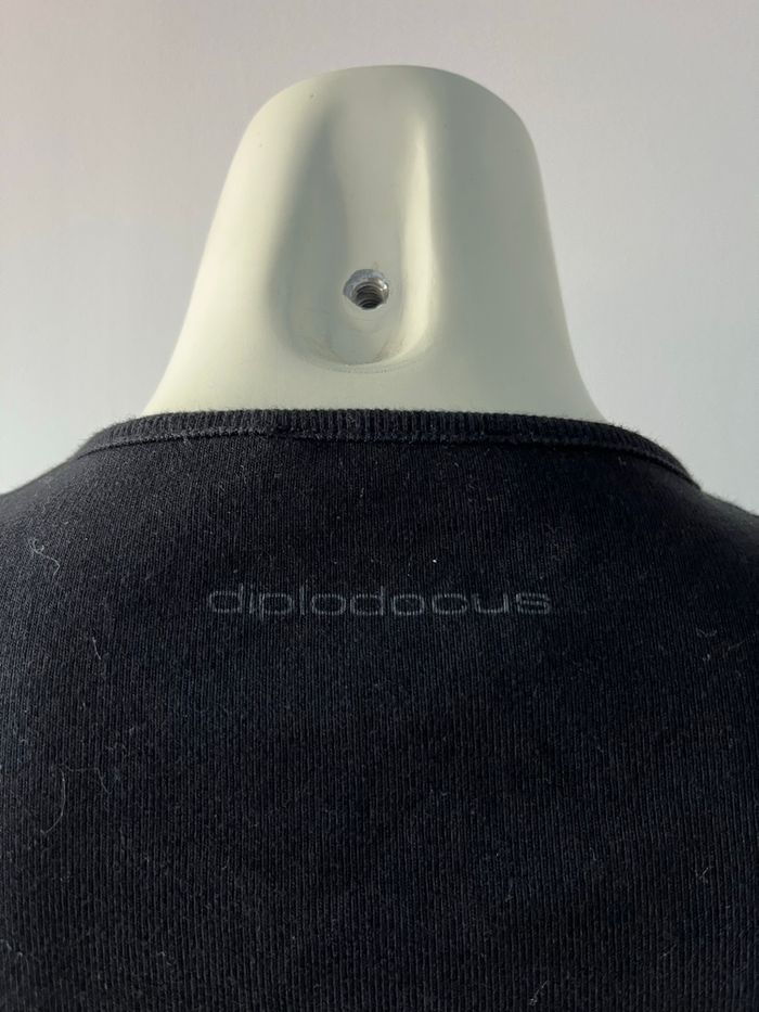 Haut diplodocus - photo numéro 6