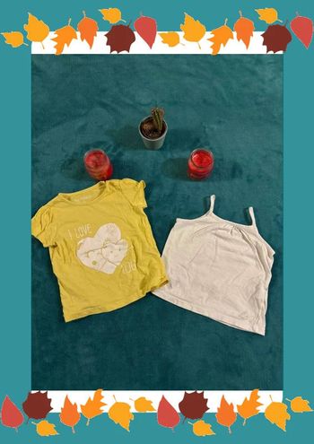 Lot de 2 tee shirt